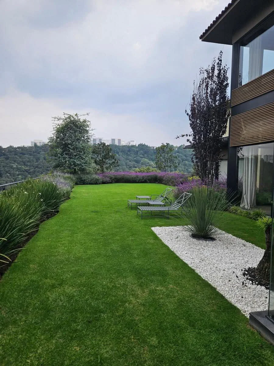 Jardín contemporáneo