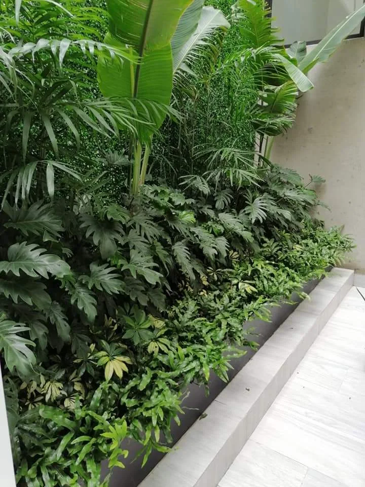 Jardín tropical interior
