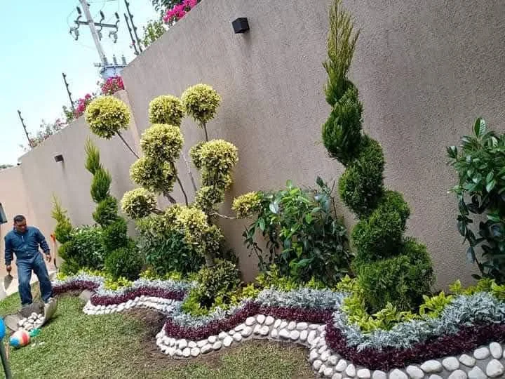Topiarios